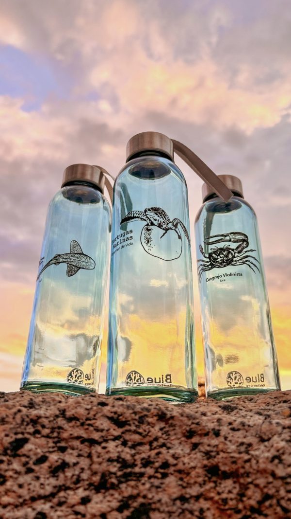 TideBottle - Image 4